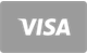 Visa card payment method accepted at WinGaga Casino